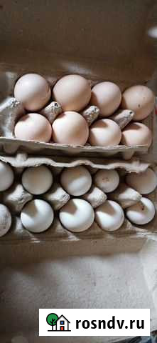 Яйца Дорохово - изображение 1