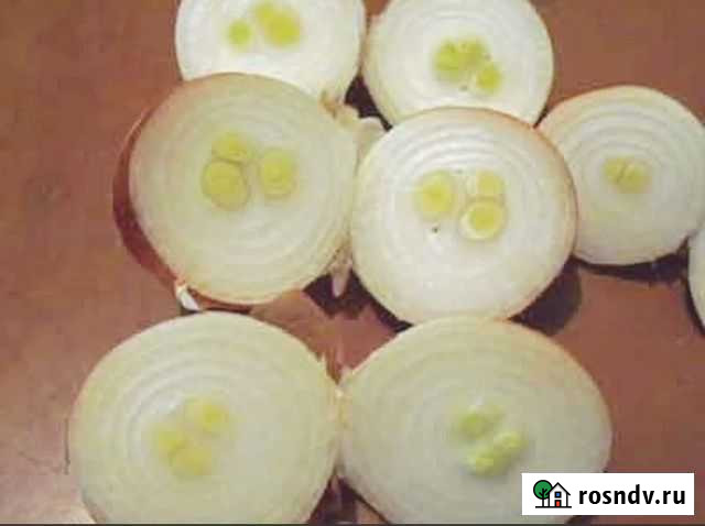 Лук на зелень перо Каратальский Городище - изображение 1