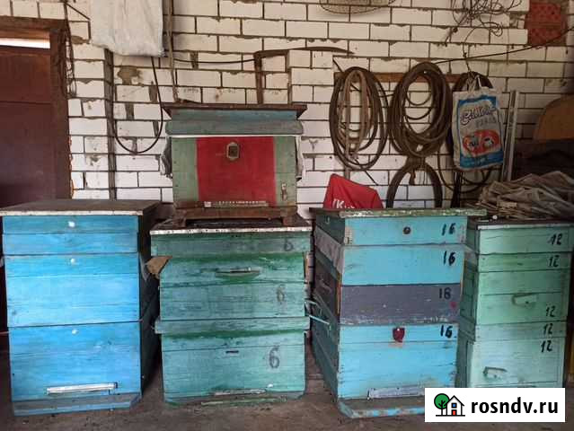 Все для пчеловодства Жирновск - изображение 1