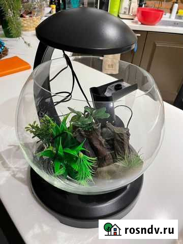 Аквариум Сочи - изображение 1