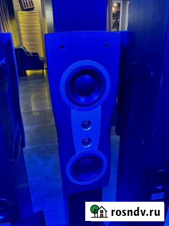 Dynaudio Confidence C2 Hi-Fi акустическая система Красногорск - изображение 1