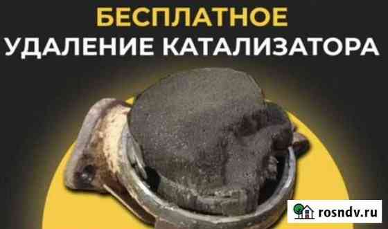 Бесплатное удаление катализаторов Севастополь