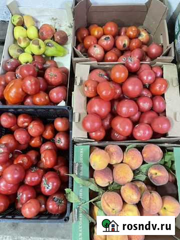 Яблоки Добрянка - изображение 1