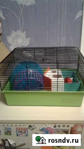 Клетка Бийск - изображение 1