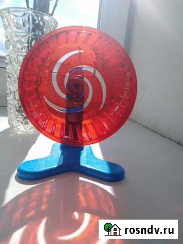 Колесо для хомячков Монетный - изображение 1