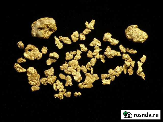 Организация с лицензиями на золотодобычу Благовещенск - изображение 1