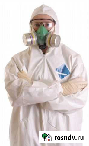 Уничтожение насекомых клопов, тараканов, блох Москва - изображение 1