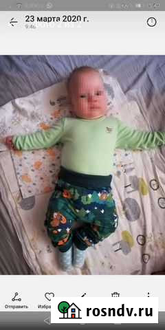 Боди bossa nova 2 шт + штаны acoola Казань - изображение 1