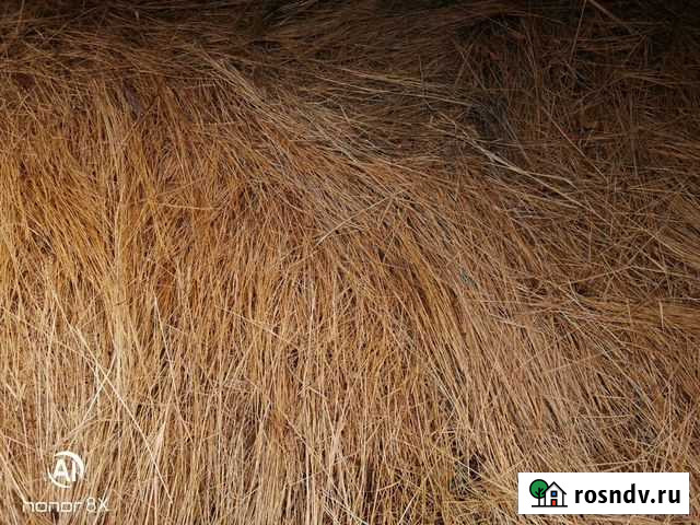 Сено в тюках и россыпью Белая Глина - изображение 1