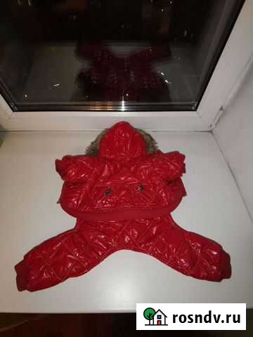 Зимний костюм для собаки Красногорск - изображение 1