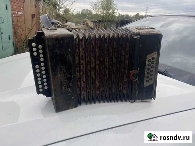 Гармонь Вологоцкая Раритет Нижний Новгород - изображение 1