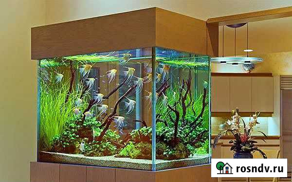 Обслуживание аквариумов Нижний Новгород - изображение 1