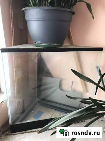 Аквариум Астрахань - изображение 1