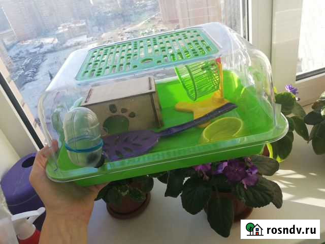 Клетка (террариум) для хомяка Владивосток - изображение 1