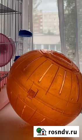 Прогулочный шар для грызунов Асбест - изображение 1