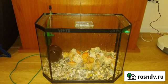 Аквариум Октябрьский - изображение 1