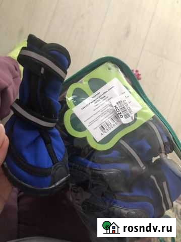 Ботинки для маленьких собак Мильково - изображение 1