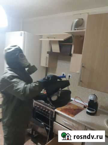 Уничтожение клопов тараканов муравьёв блох мышей Самара - изображение 1