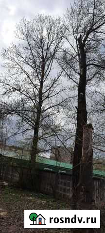 Спил деревьев Великий Новгород - изображение 1