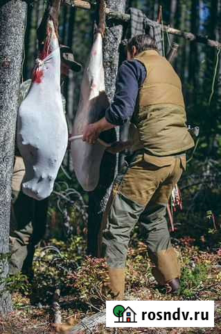 Брюки для охоты Мысхако - изображение 1