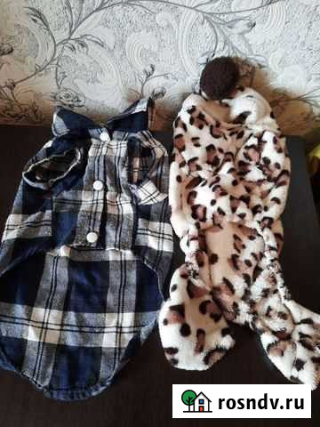 Одежда для маленьких собак Северный - изображение 1