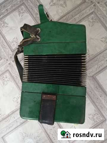 Баян Мариинск - изображение 1