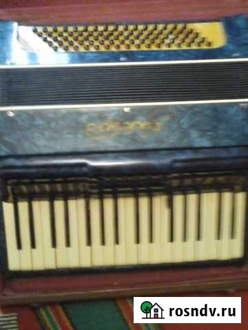 Аккордеон Аккорд Самара - изображение 1