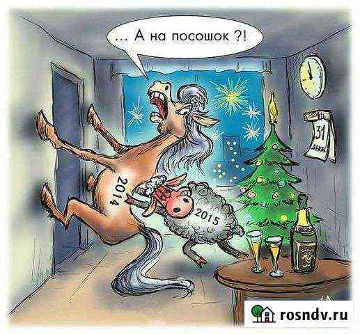 Продаю жеребца обученого Заветное