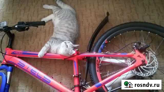 Велосипед Анапа - изображение 1