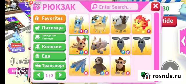 Продам петов Уфа - изображение 1