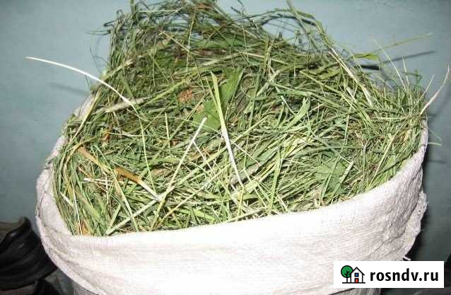 Сено 2021 в мешках Дзержинск - изображение 1