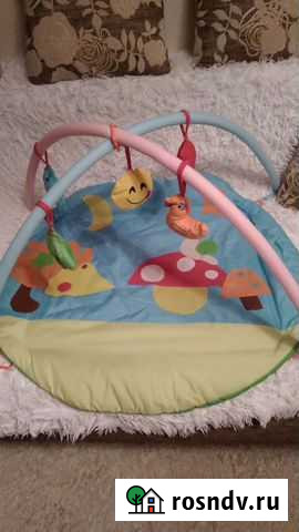 Развивающий коврик Петрозаводск - изображение 1