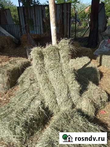 Сено разнотравье и тюки соломы Новомалороссийская - изображение 1