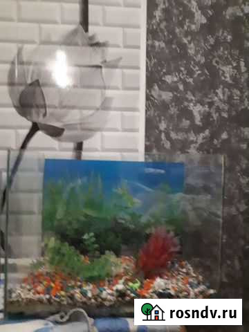 Аквариум Бийск - изображение 1