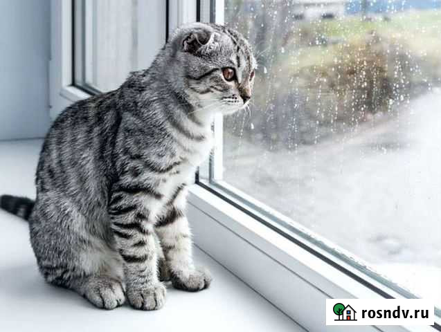 Пластиковые окна Муром - изображение 1