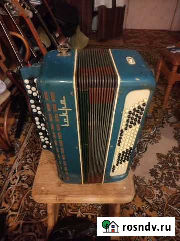 Баян Рязань - изображение 1