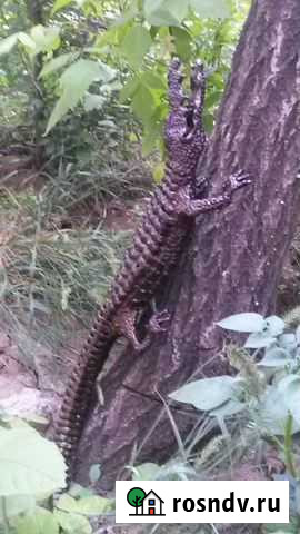 Кузнечные работы Волжский - изображение 1