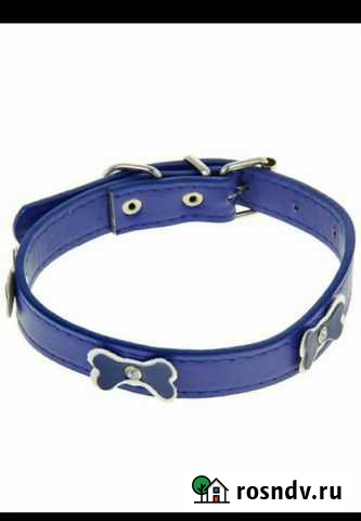 Ошейник для собак Елабуга - изображение 1