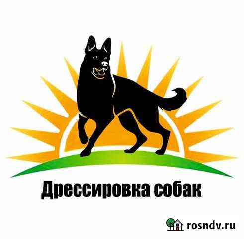 Дрессировка собак Балашиха