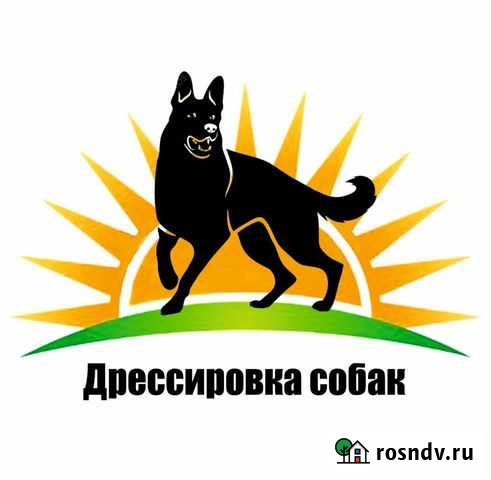 Дрессировка собак Балашиха - изображение 1