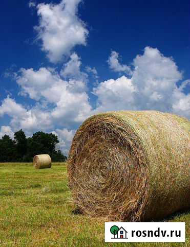 Сено Нарткала - изображение 1
