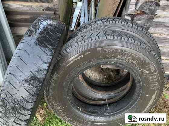 Tyrex 8.25 R20 Киров