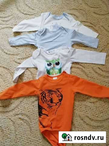 Боди Отрадное - изображение 1