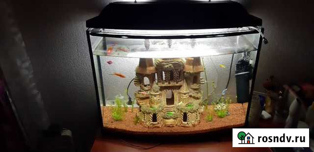 Аквариум Новосмолинский - изображение 1