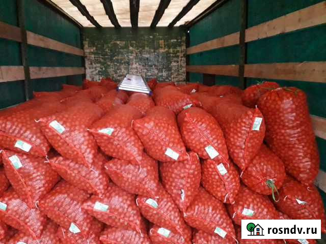 Грецкие орехи оптом Армавир - изображение 1