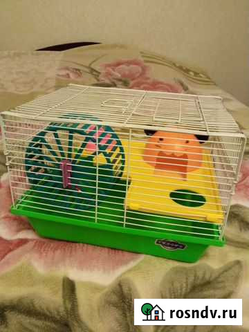 Клетка для хомяка Кострома - изображение 1