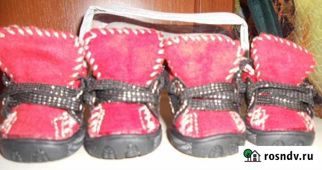 Ботиночки для собачки Мулино - изображение 1