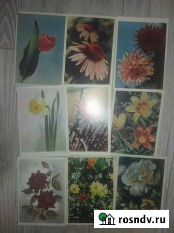 Открытка Оренбург - изображение 1