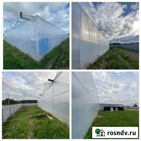 Тепличное хозяйство Сергиев Посад - изображение 1