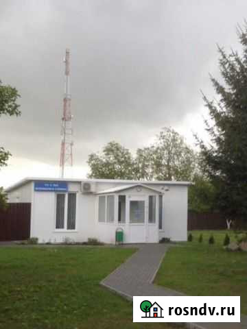 Ветеринарный ассистент Калининград - изображение 1